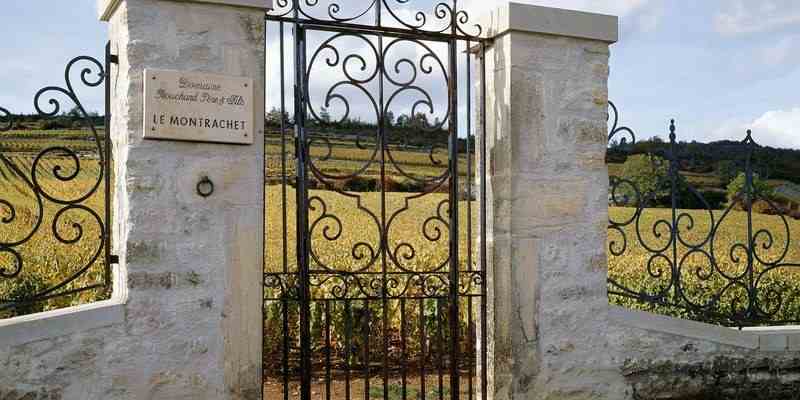 porte_et_vigne_du_montrachet_0