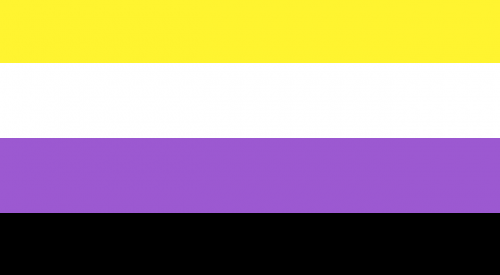 nonbinary flag