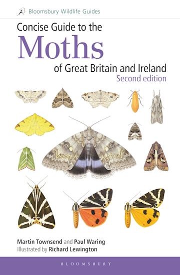 bloomsbury moths guide