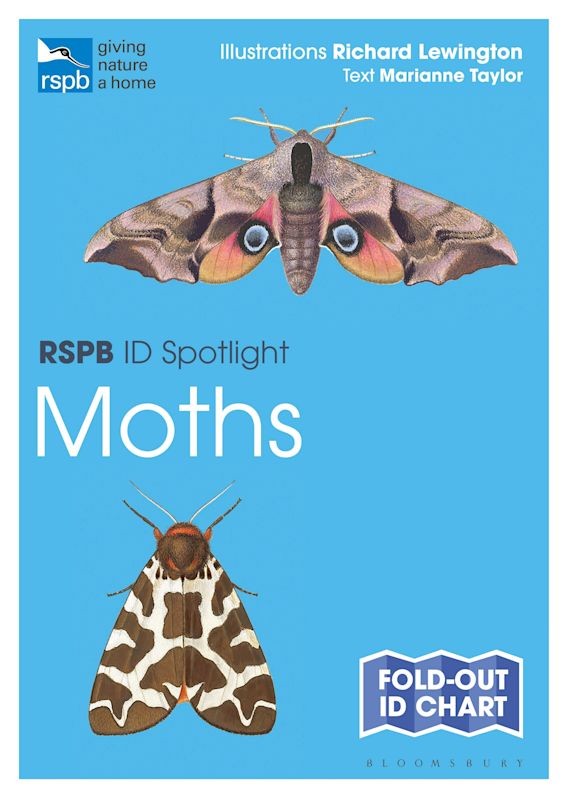 fold out moth id chart