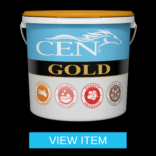 CEN Gold Button