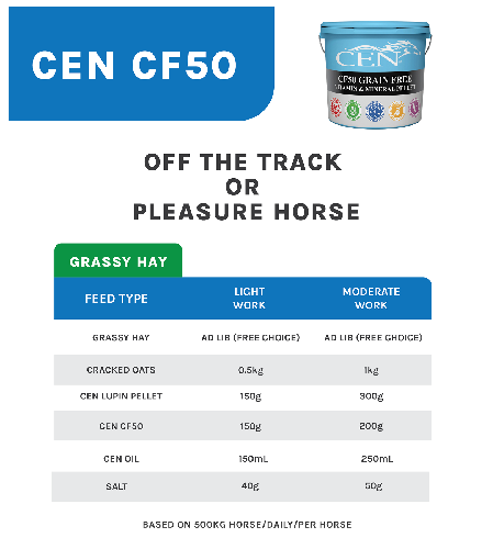 OFF THE TRACK HORSE - Overweight CF50 - General