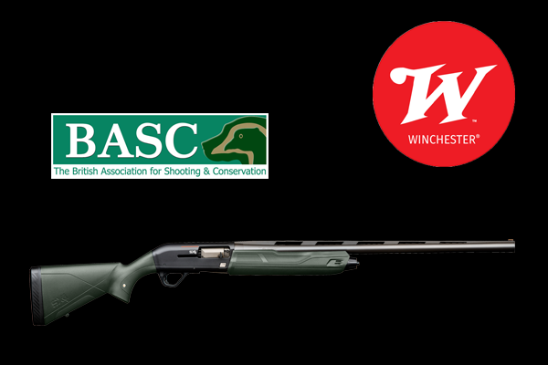 basc-brown-win-image