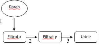 SOAL 5