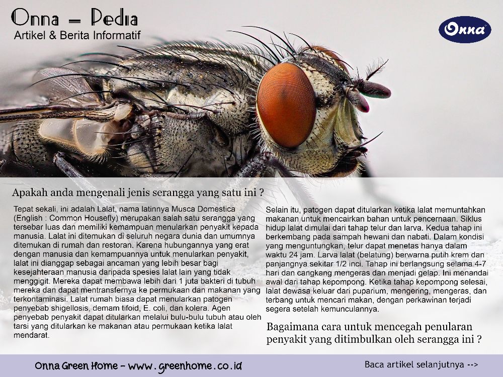 Onna-Pedia (1)