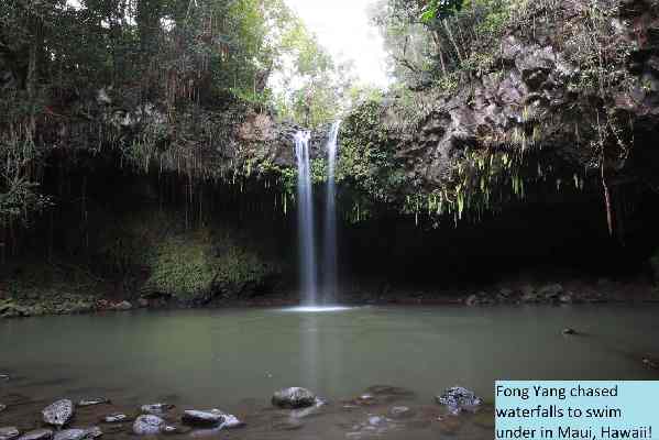 Fong Yang chased waterfalls to swim under in Maui, Hawaii! (Smaller Sized)