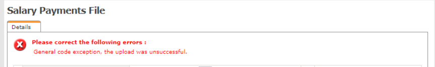 Salary Payment File error screenshot