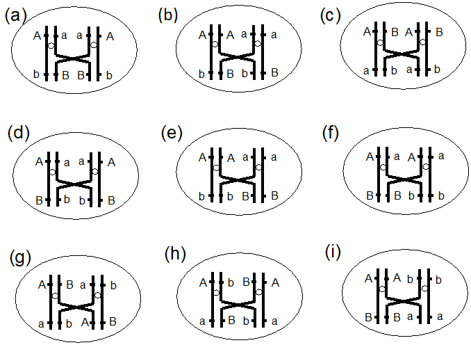 Figure for Q2