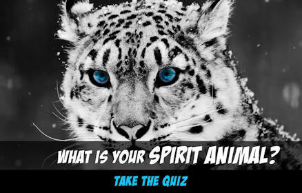 What is your Spirit Animal Quiz